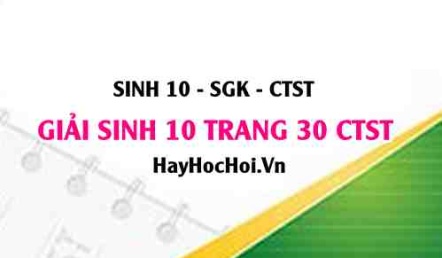 Giải Sinh 10 trang 30 Chân trời sáng tạo SGK